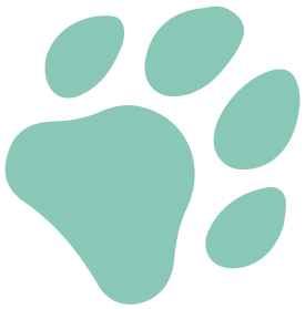 paw icon