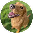 Deanna M. profile picture